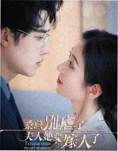 红星影院热播电视剧长风渡口在线观看海报